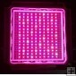 Wholesale Cutomized 150W High Power LED for Aquarium and Plant Growing
